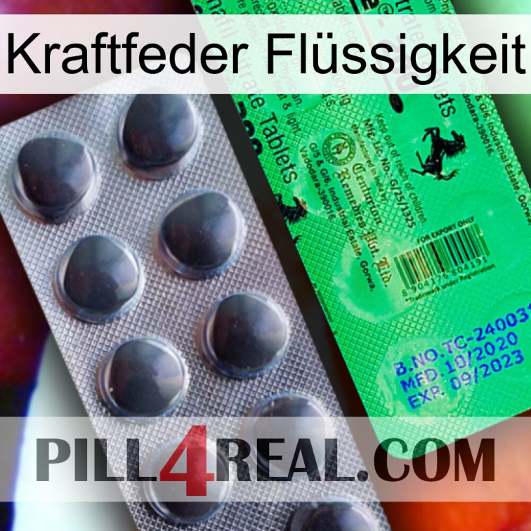 Kraftfeder Flüssigkeit new04